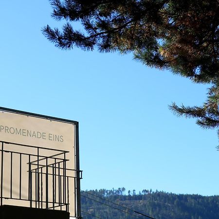 Top Five See & Bergblick - Haus Seepromenade Döbriach Екстериор снимка