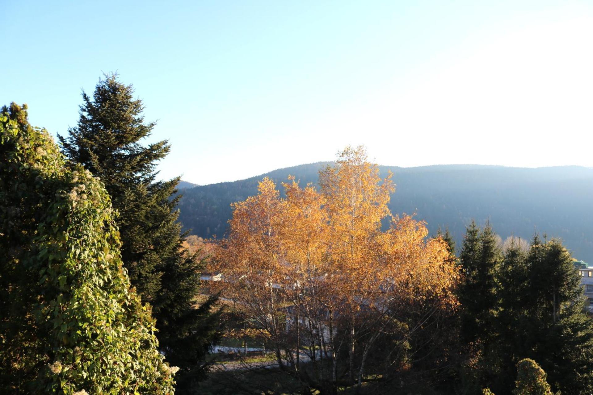 Top Five See & Bergblick - Haus Seepromenade Döbriach Екстериор снимка